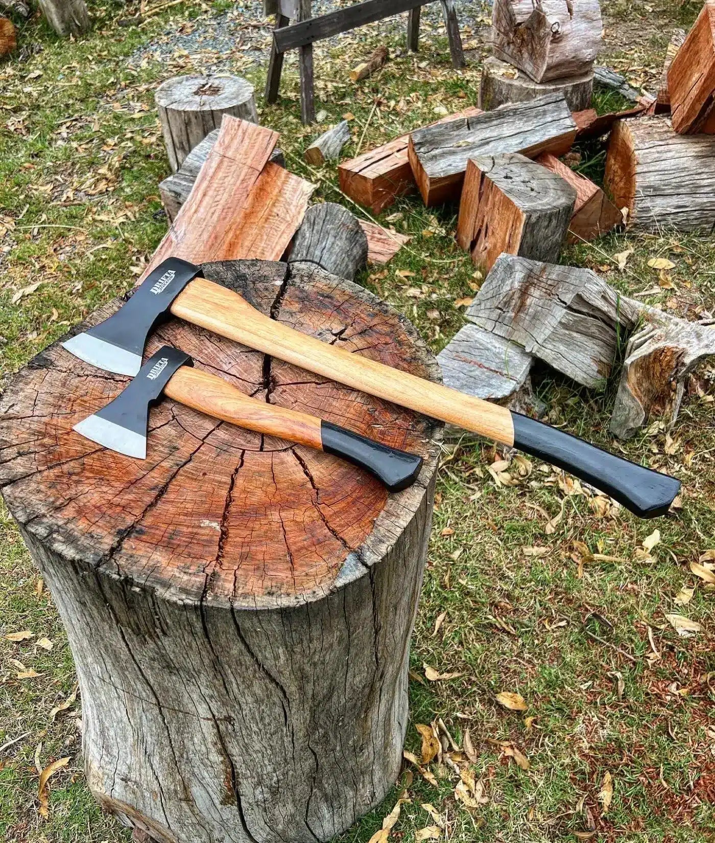 0081ce24 Bd80 49b1 A0c0 39ae6d9403f6