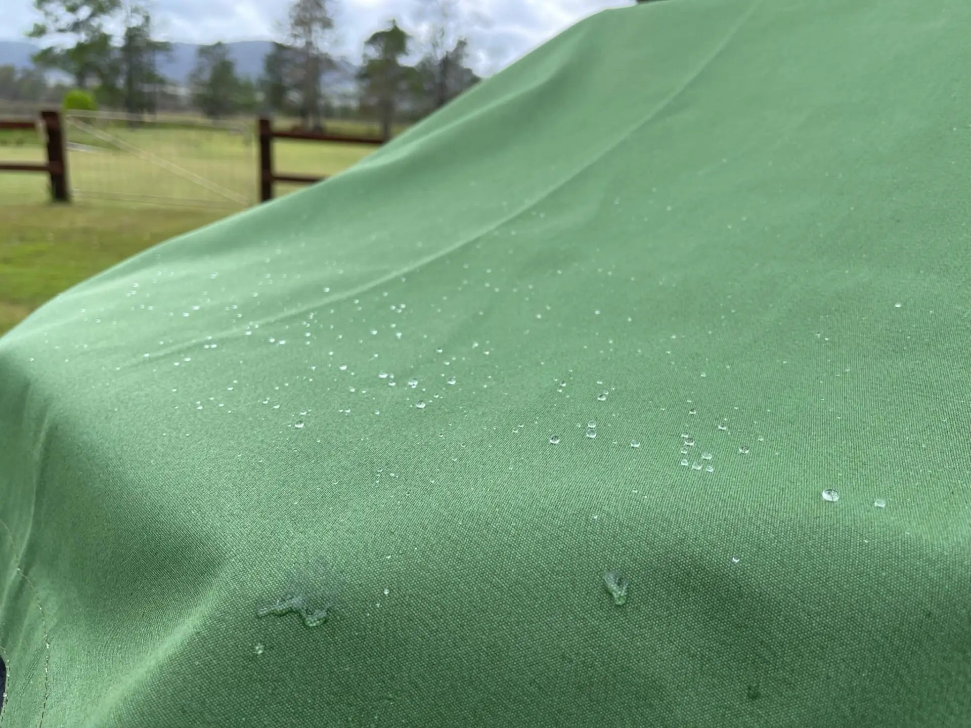 0b368af3 Ee64 4f6a 86eb 563dafec02b5