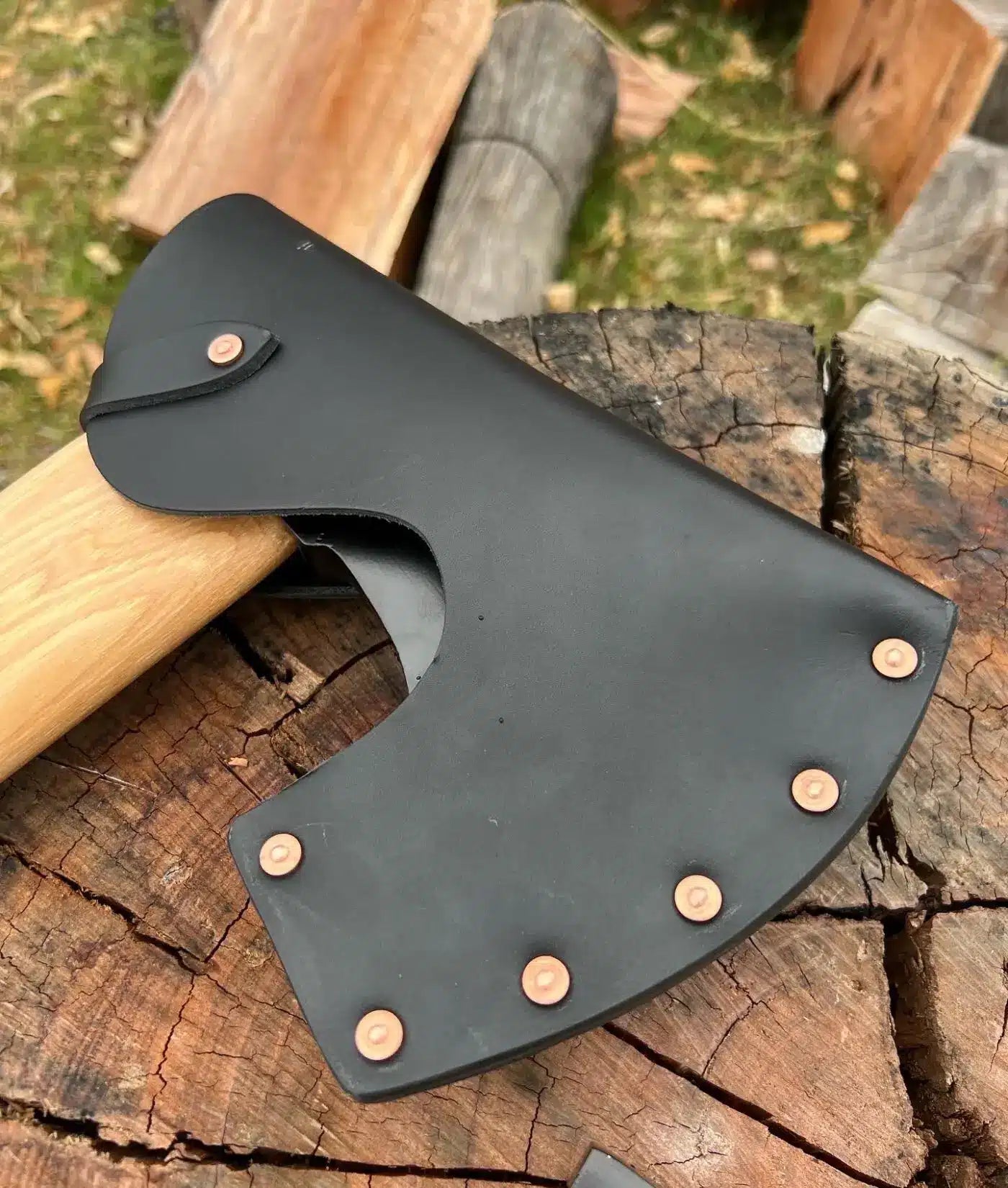 4203d399 0941 49d4 98a7 F9a7d91e43aa