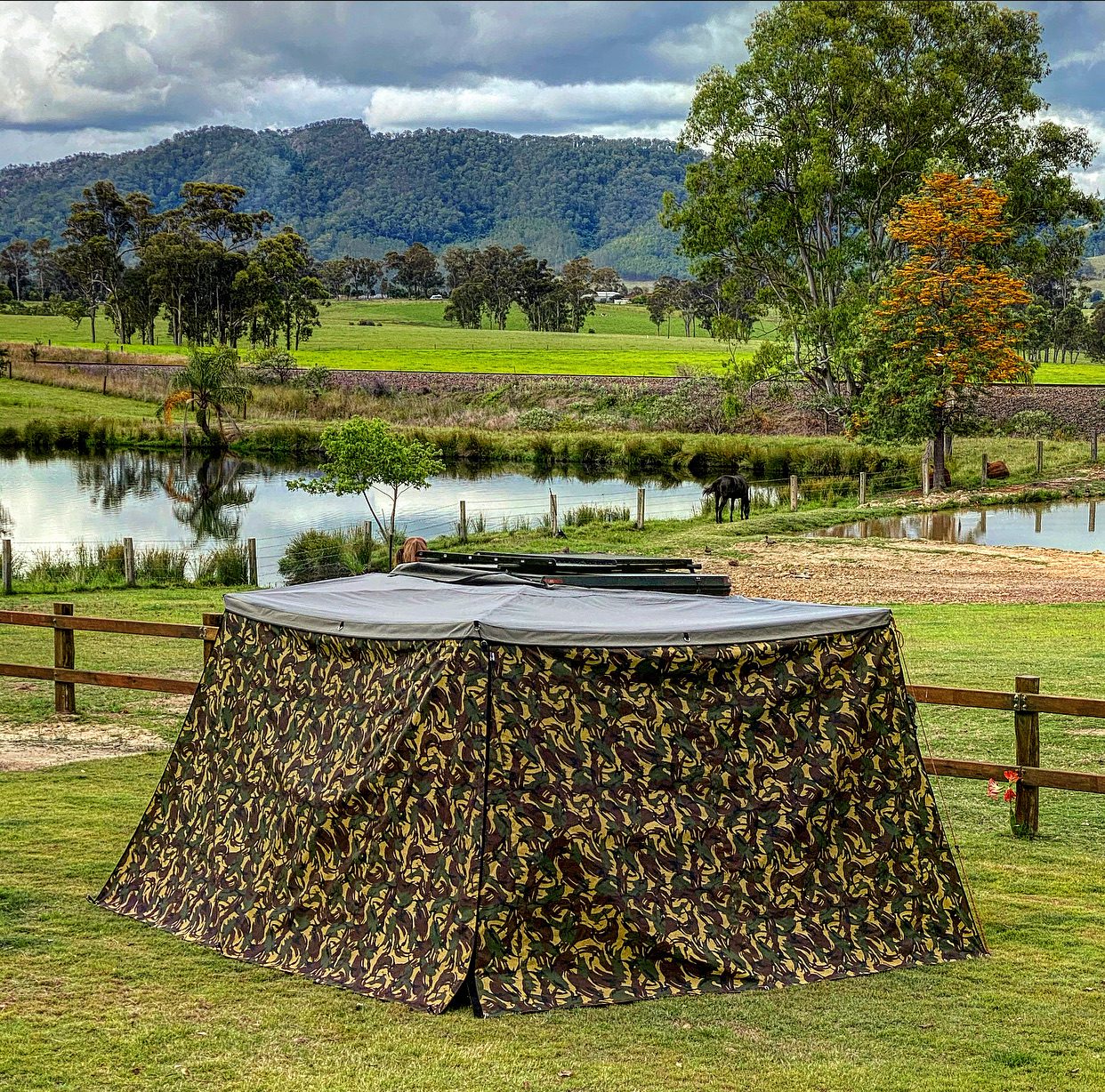 92584ada Dd5d 4a53 A295 3a9f6f8c7131