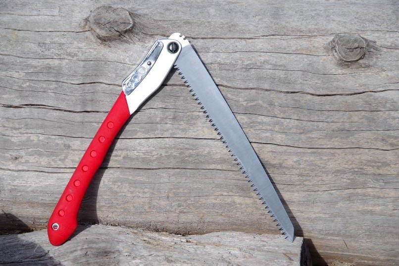 SILKY LARGE TOOTH BIGBOY