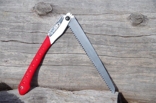 SILKY LARGE TOOTH BIGBOY