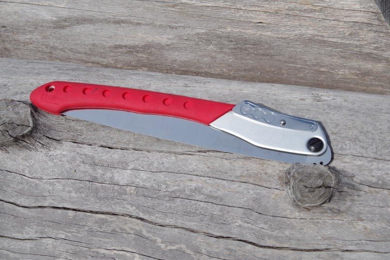 SILKY LARGE TOOTH BIGBOY