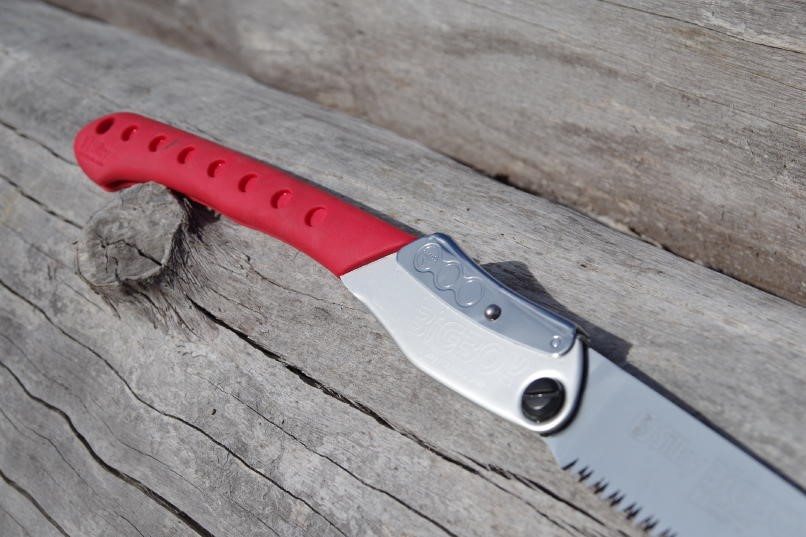 SILKY LARGE TOOTH BIGBOY