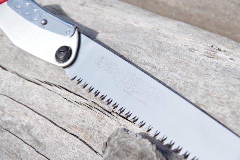 SILKY LARGE TOOTH BIGBOY