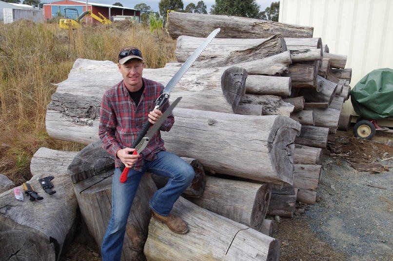 SILKY LARGE TOOTH BIGBOY