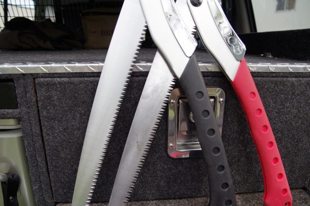 SILKY LARGE TOOTH BIGBOY