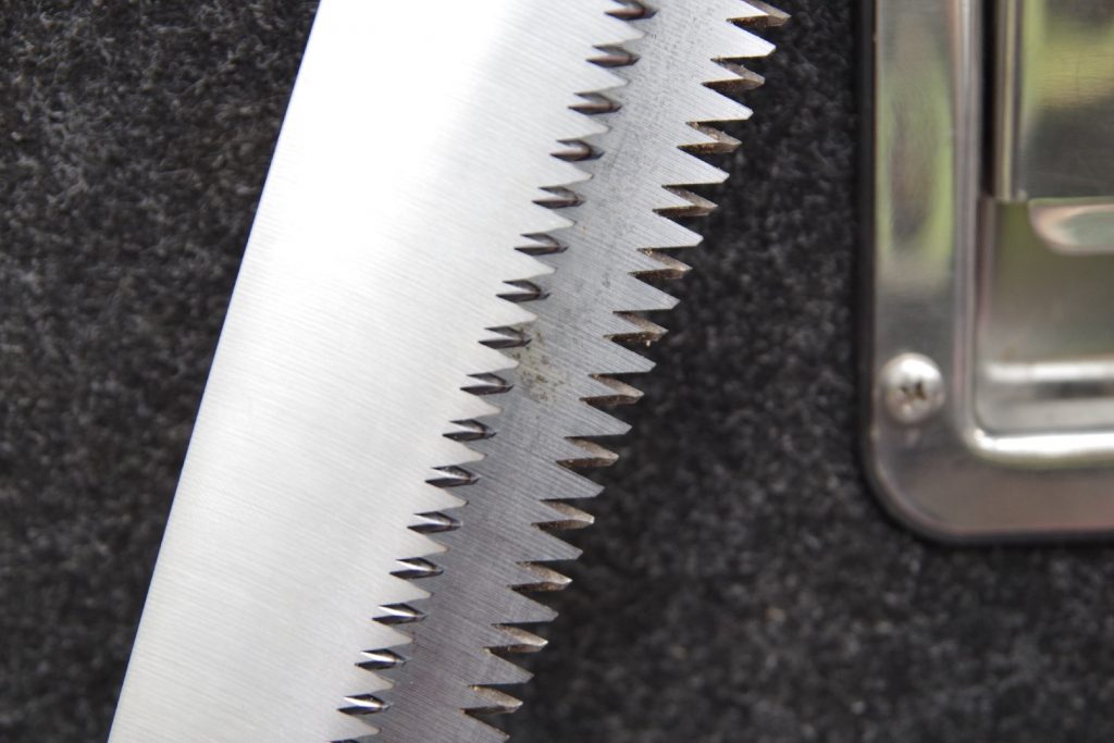 SILKY LARGE TOOTH BIGBOY