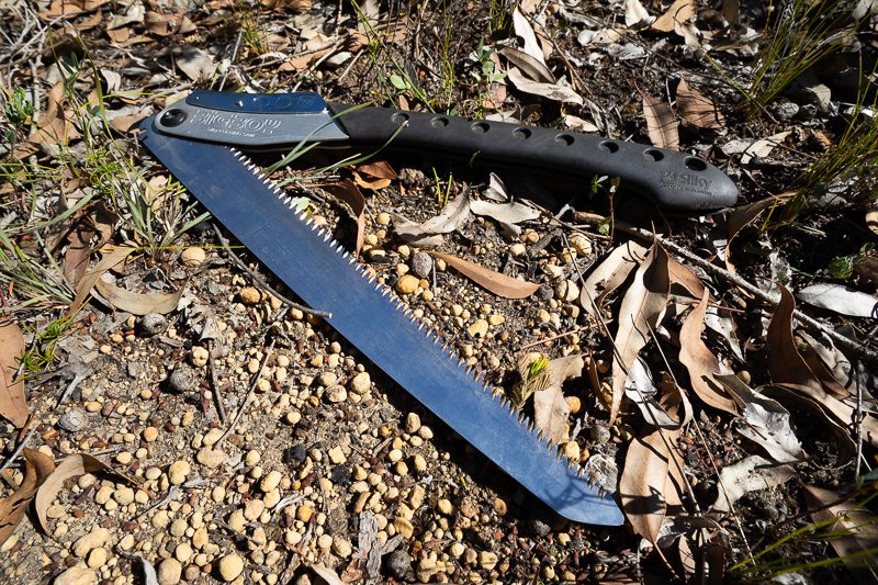 SILKY LARGE TOOTH BIGBOY